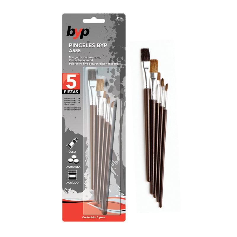 Kit de pinceles 5 piezas byp