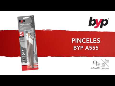 Kit de pinceles 5 piezas byp
